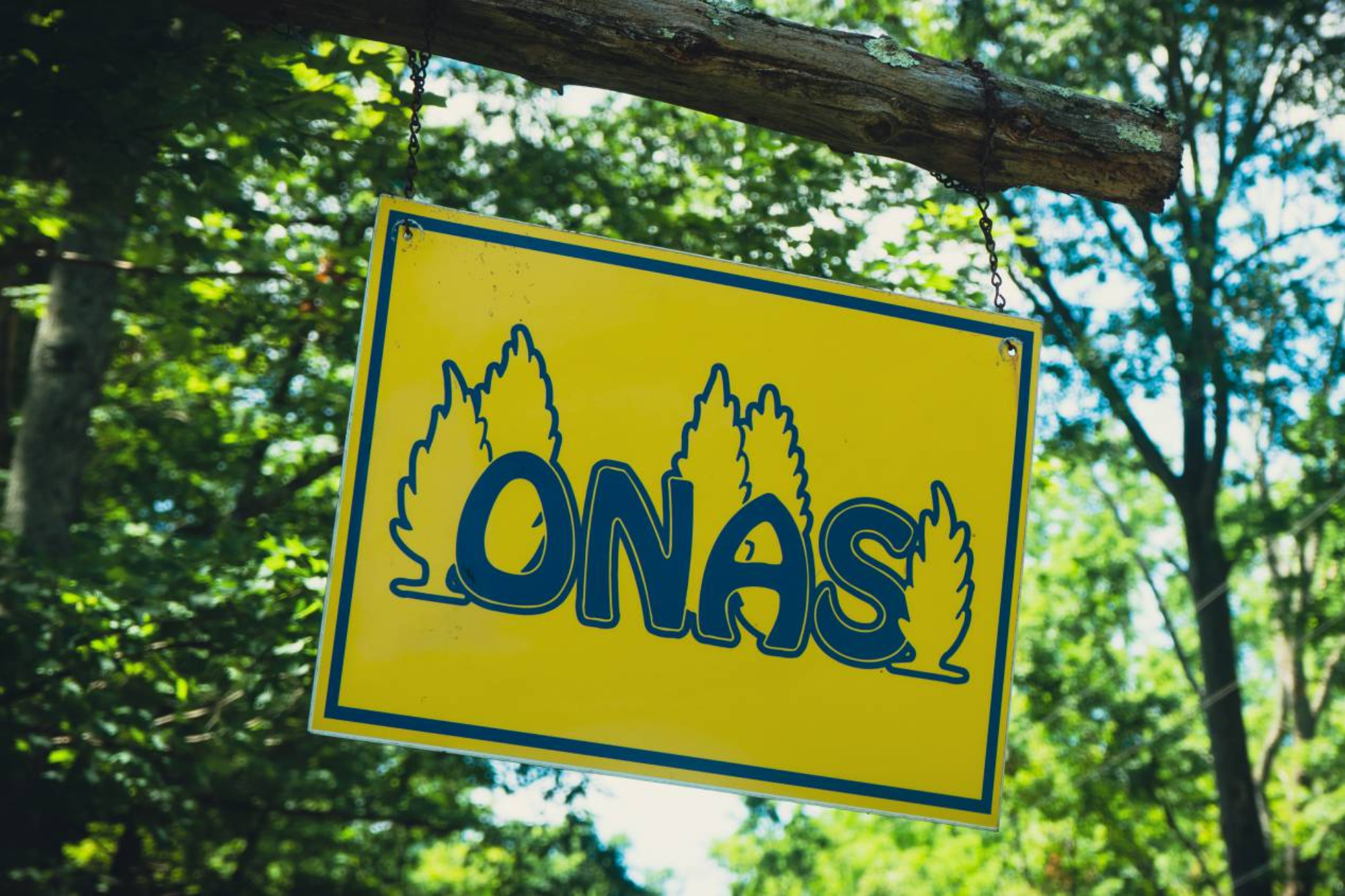 Camp Onas road sign hanging in front of a tree canopy.